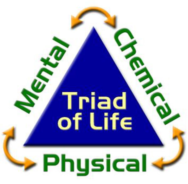 Triad of Life - Physical, Chemical, Mental